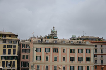Fototapeta premium Genovese