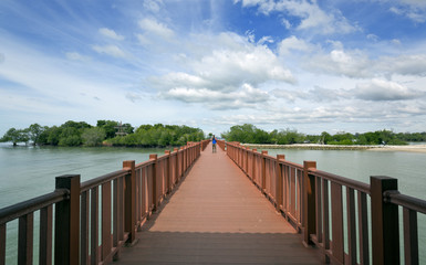 Naklejka premium A walkaway to mangrove park. Beautiful day with clouds and blue sky.