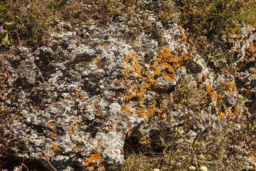 Stone with lichen