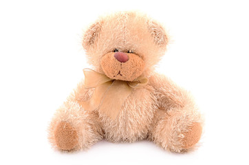 Teddy bear