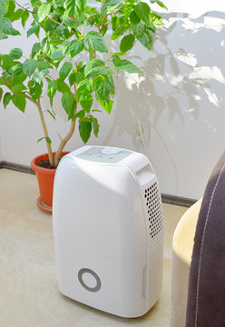 Portable Dehumidifier Colect Water From Air