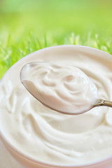 Ceramic bowl of white yoghurt
