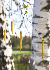  в начале весны