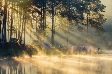 Fototapeta premium Beautiful landscape morning sunrise over stream and pine tree camping in lake with ray of light.