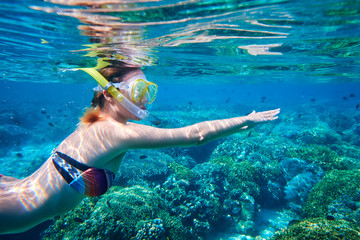 snorkeling woman above the coral reef. - obrazy, fototapety, plakaty
