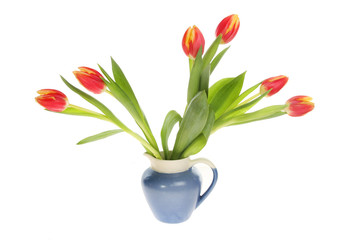 Tulips in a jug