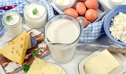 Set of fresh dairy products