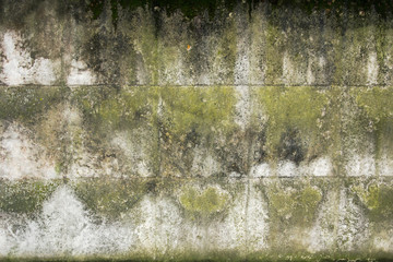 Old dirty concrete wall. Abandonment concept. Gray, black and green background