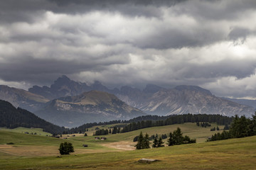 Auf der Seiser - Alm