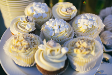 The biscuits for birtday party
