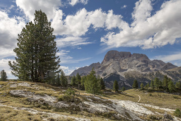 Plaetzwiese, Suedtirol