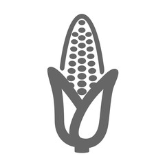 Corn outline icon. Vegetable vector