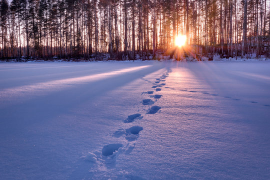 Footprints in snow leading towards sunset HDR shot