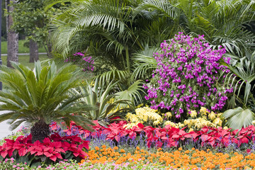 Colorful flower garden