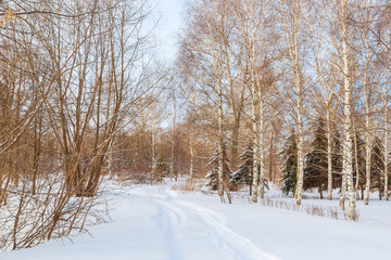Park in Balakhna at winter