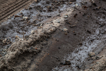 Mud trail