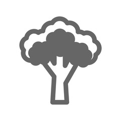 Broccoli outline icon. Vegetable vector