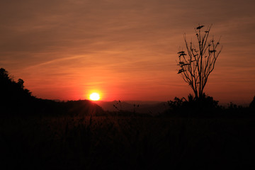 Fototapeta premium Beautiful sky, the sun is about to fall in winter.