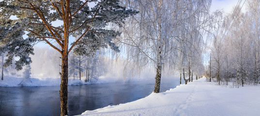 весенний пейзаж на берегу озера с туманом и деревьями...