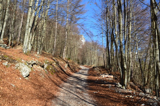 Erto - Paesaggio invernale in val Zemola