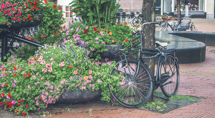 Fototapeta na wymiar Retro style bicycle with frowers at the street, Netherlands