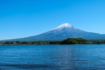 Fototapeta na wymiar Fuji mountain and Kawaguchiko lake with blue sky, Japan