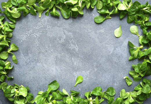 Spring background with frame from salad leaves.Top view with spa