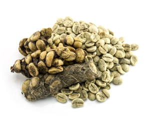Kopi Luwak or civet coffee isolated on white background