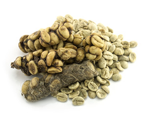 Kopi Luwak or civet coffee isolated on white background