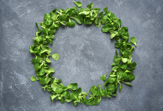 Spring background with frame from salad leaves.Top view with spa