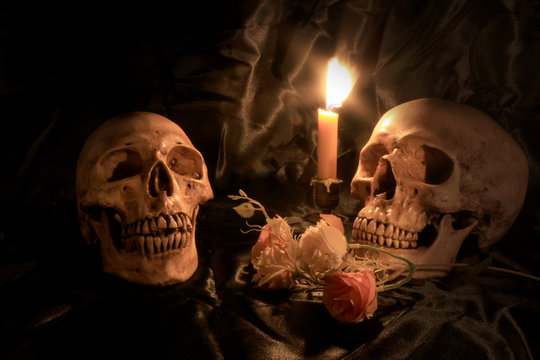 human skulls and pile of withered dry flowers and candle light on dark background in night time / Still life image and Selective focus