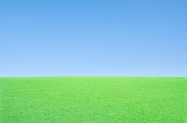 Obraz premium Green grass and sky