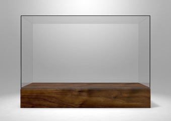 Glass Display Case