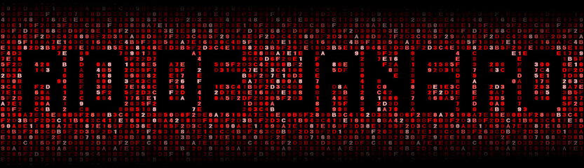 Rio de Janeiro text on hex code illustration