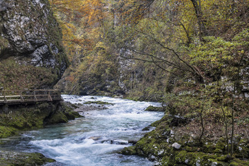 Fototapeta na wymiar Vintgar - Klamm, Slowenien