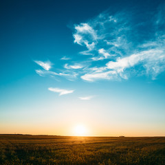 Sunset, Sunrise, Sun Over Rural Countryside Field. Bright Blue A