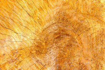 old vintage  wood background