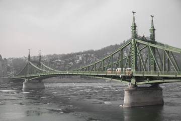 Obraz premium Liberty Bridge, Budapest, Hungary