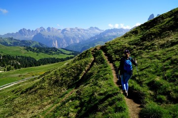 Fototapeta premium Unterwegs auf Wanderweg in Südtirol / Grüne Wiese und Dolomiten Berge 