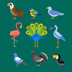 Birds vector set illustration isolated