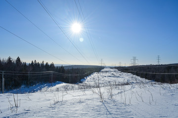 North of Beauport's Forest