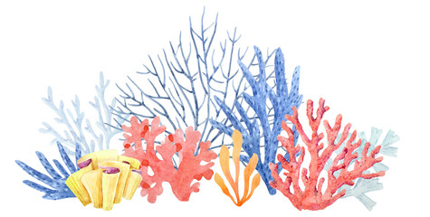 Watercolor coral composition © zenina