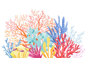 Watercolor coral composition