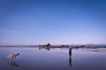  scenic view of Ruby Beach with  running husky dog and woman, Washington state, USA