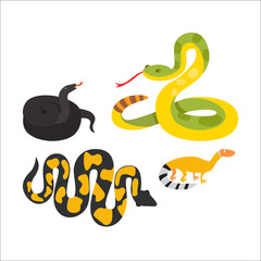 Snake reptile cartoon vector
