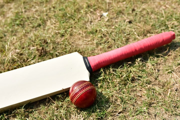 Cricket bat