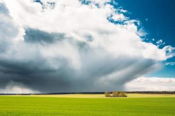 Naklejka premium Field Or Meadow Landscape With Green Grass Under Scenic Spring Blue Dramatic Sky With White Fluffy Clouds