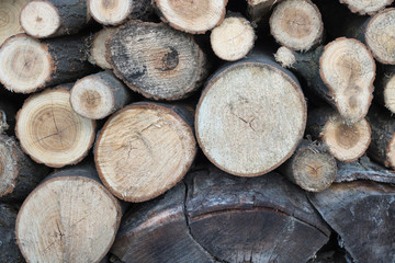 firewoods