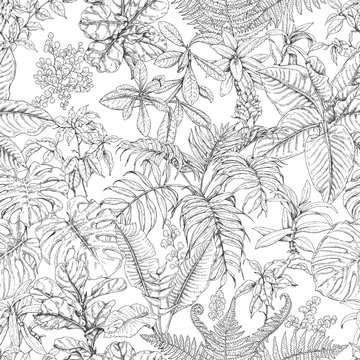 Hand Drawn Tropical Plants Pattern