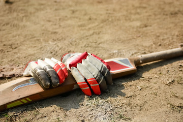 Cricket bat and gloves